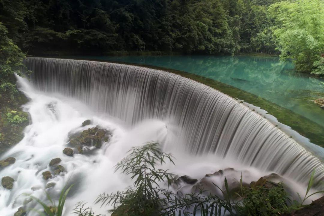 拯救穆尔小马